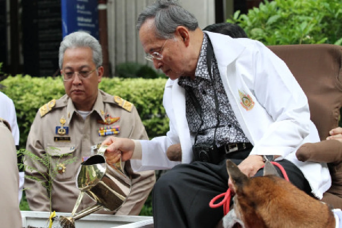 ในหลวงทรงปลูกต้นศรีตรังรพ.ศิริราช