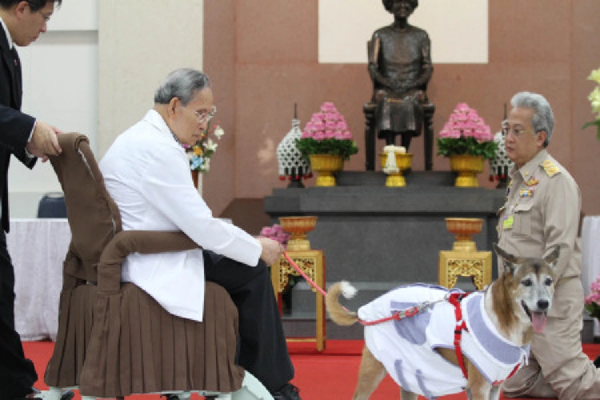 ในหลวงทรงปลูกต้นศรีตรังรพ.ศิริราช