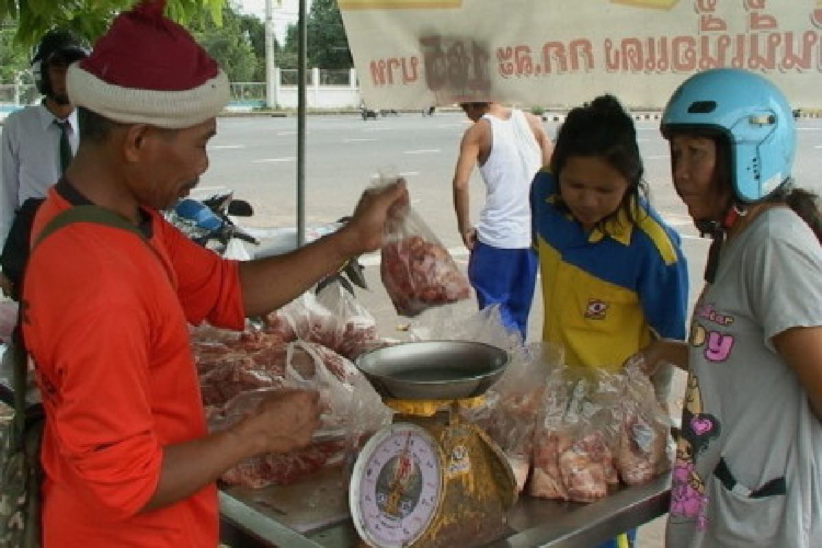เทคโนสุรินทร์ขายหมูถูกสวนกระแส เทคโนสุรินทร์ขายหมูถูกสวนกระแส
