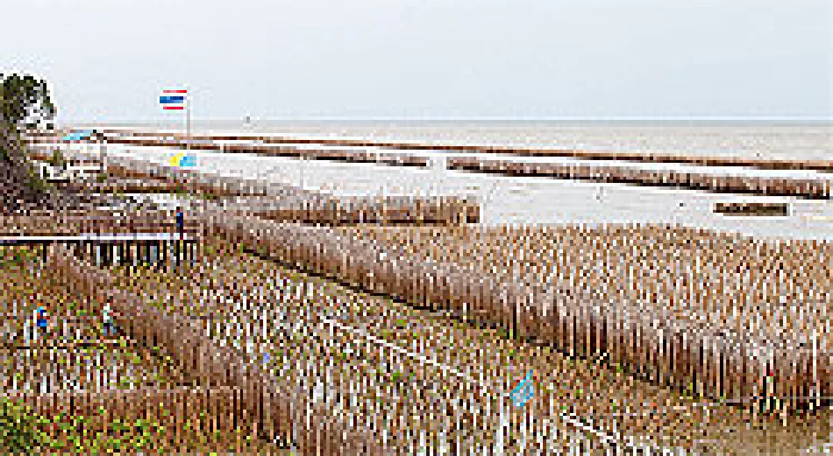 การถมทะเลกับปัญหาข้อกฎหมายที่ต้องพิจารณา