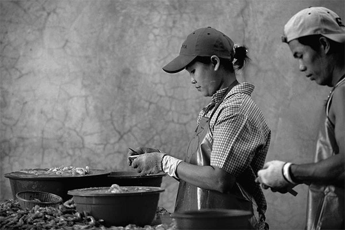 migrant labourers
