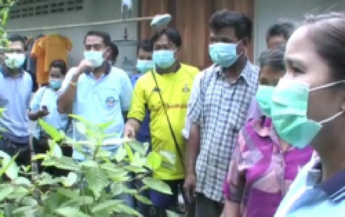 โวยโรงงานแปรรูปยางตรังปล่อยมลพิษ