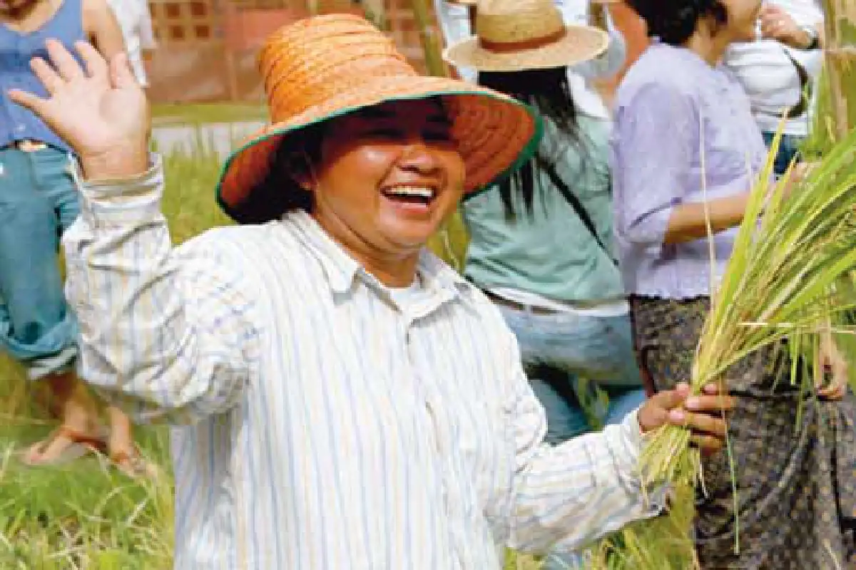 ชาวนานักค้นคว้าแห่งท้องทุ่ง