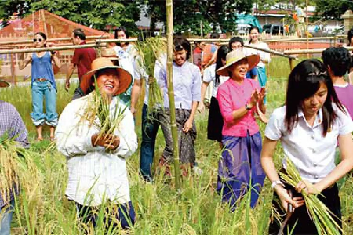 ชาวนานักค้นคว้าแห่งท้องทุ่ง