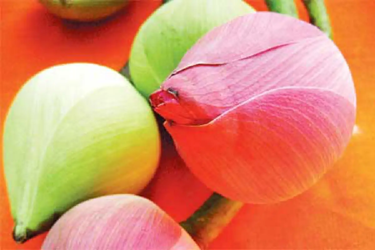 ดรุณธรรม พุทธธรรมสำหรับชาวพุทธมือใหม่ (ตอนจบ)