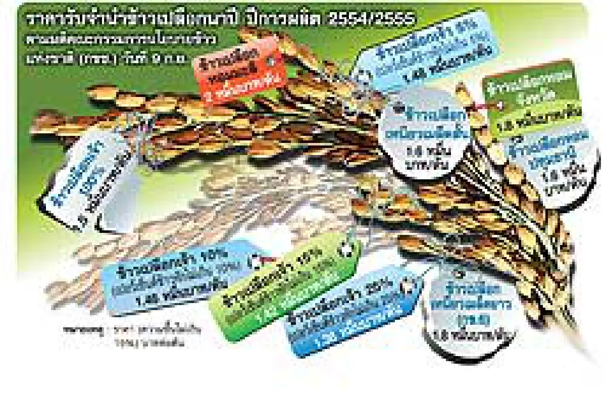 บริษัทข้าวแห่งชาติ โมเดลจำนำทกเม็ด ขายเสร็จโดยรัฐ