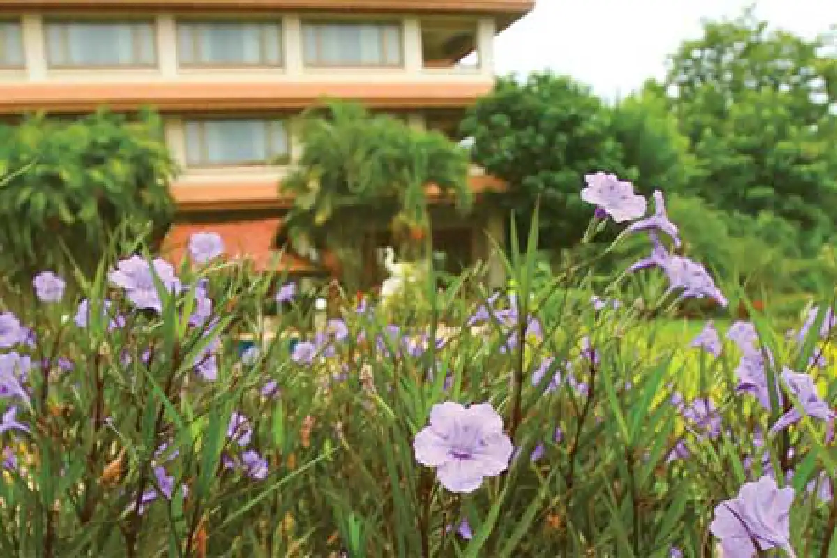 บ้านริมน้ำกก