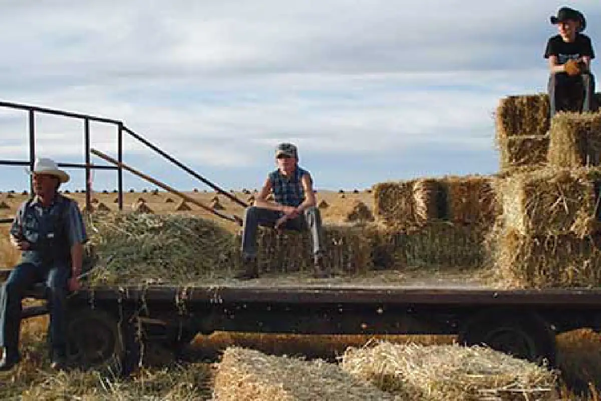 แสงแห่งความเงียบงัน