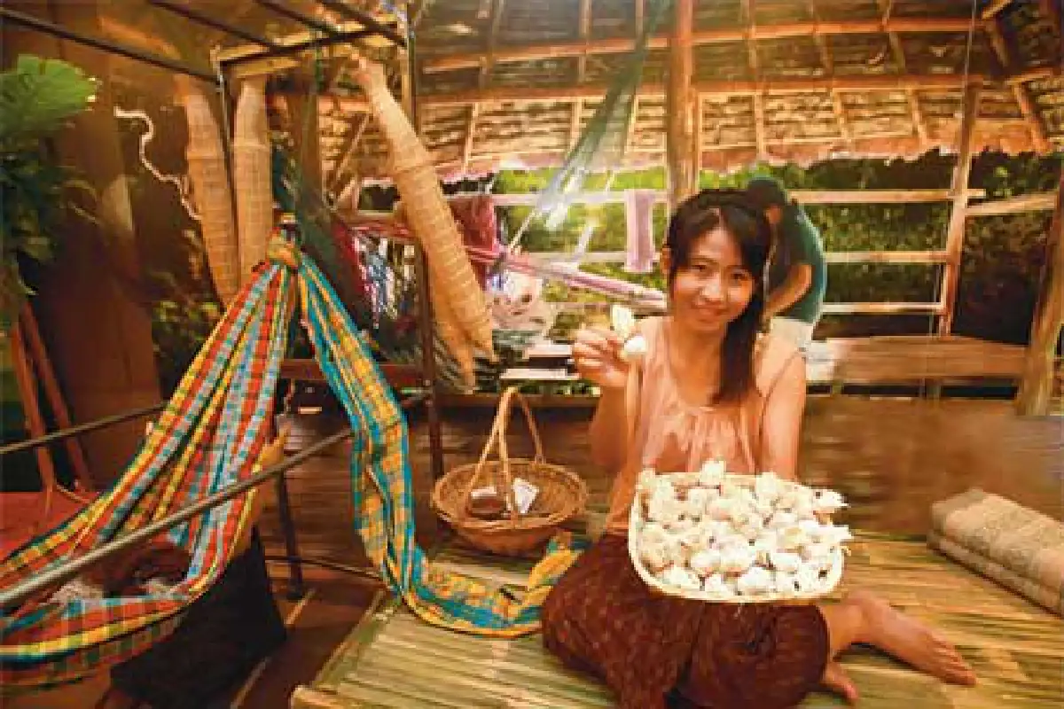 ชาหมามุ่ย...เครื่องดื่มประจำบ้านที่น่าสน