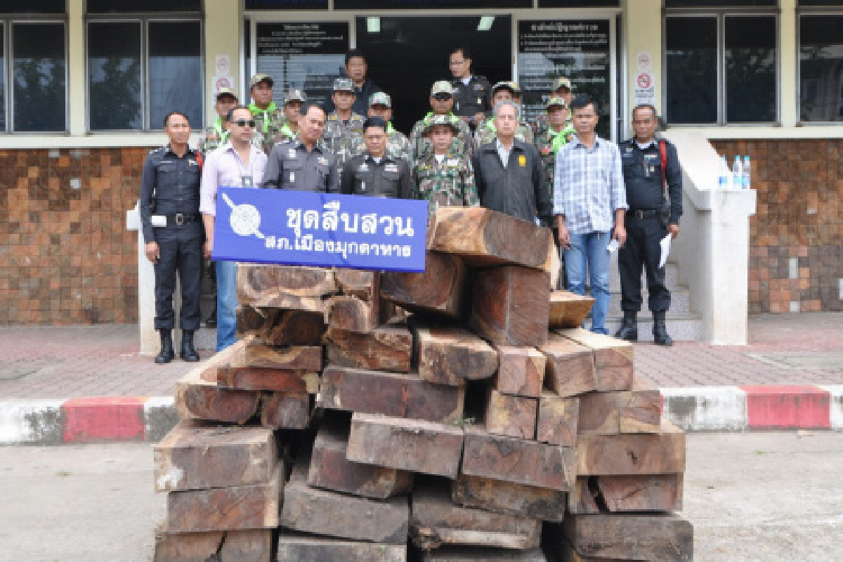 ตรวจยึดไม้พะยูงเตรียมส่งนายทุน ตรวจยึดไม้พะยูงเตรียมส่งนายทุน