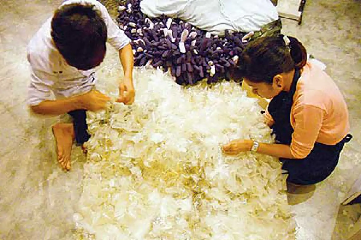 พรมเก๋จากถุงน้ำเกลือ