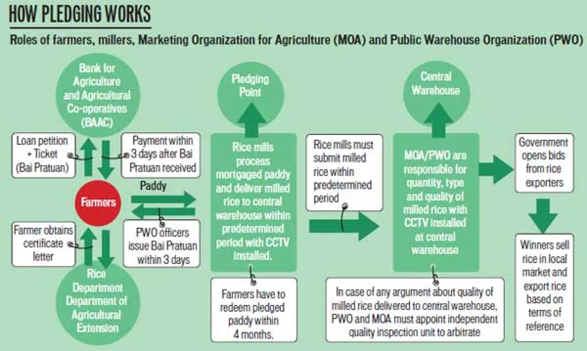 rice pledging scheme