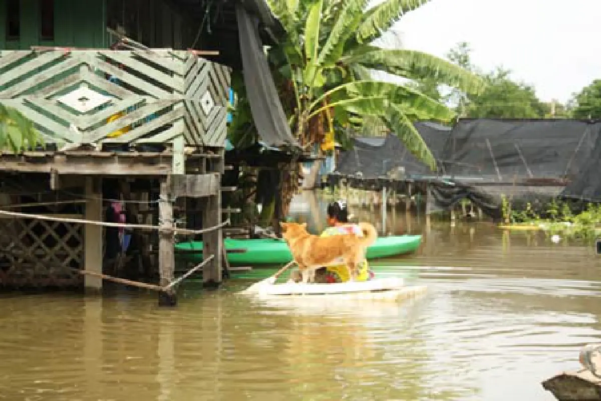 ปทุมธานีอ่วม!บ้านริมน้ำท่วมซ้ำสอง