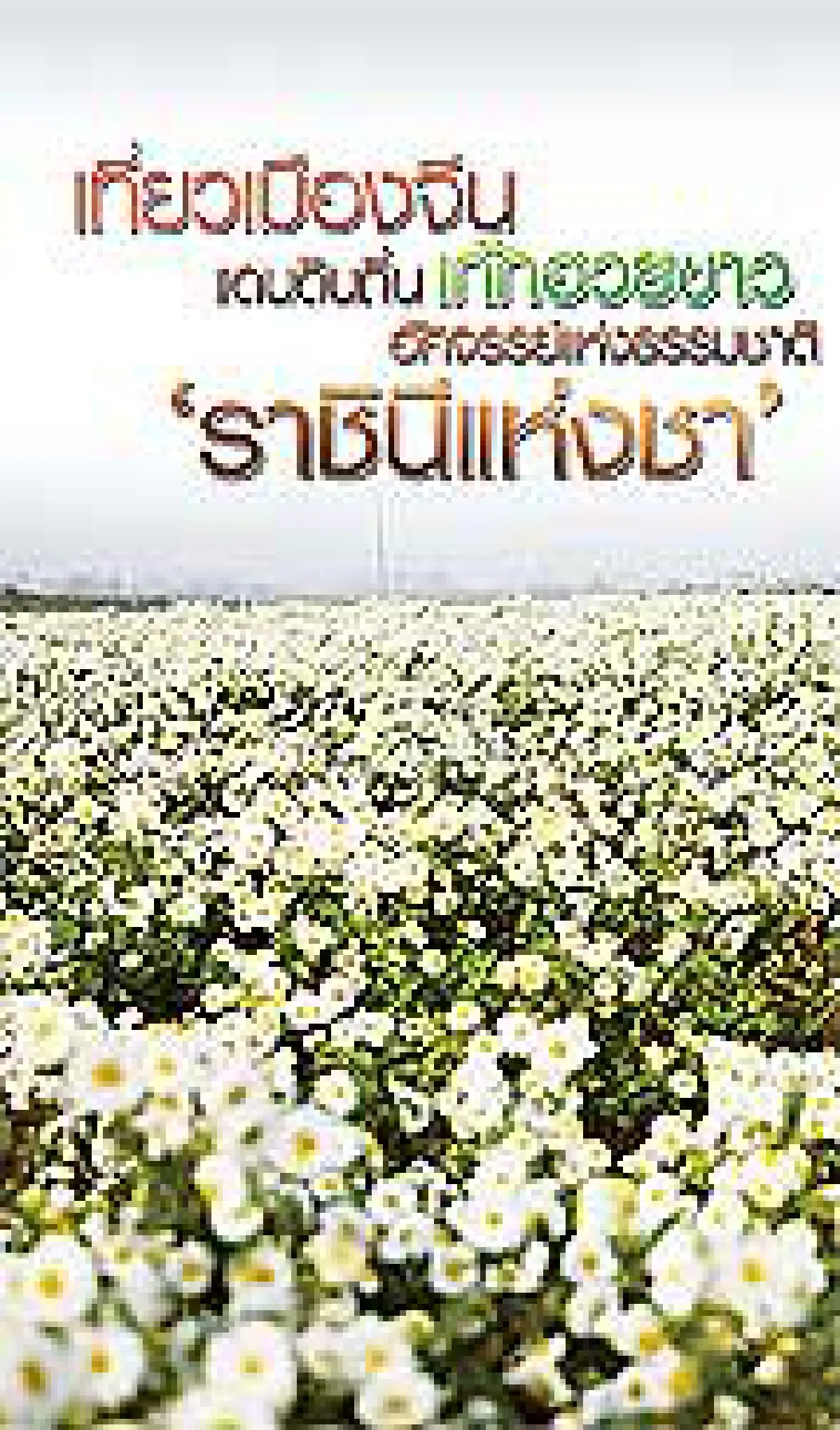 เที่ยวเมืองจีนแดนดินถิ่นเก๊กฮวยขาวอัศจรรย์แห่งธรรมชาติ ‘ราชินีแห่งชา’