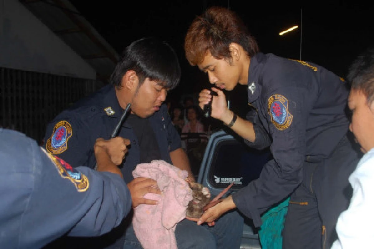กู้ภัยพิษณุโลกช่วยแมวเจอเหล็กเสียบคารั้ว