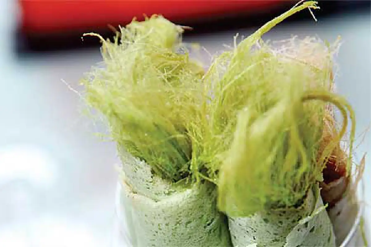 เส้นทางสายไหม มัดใจ