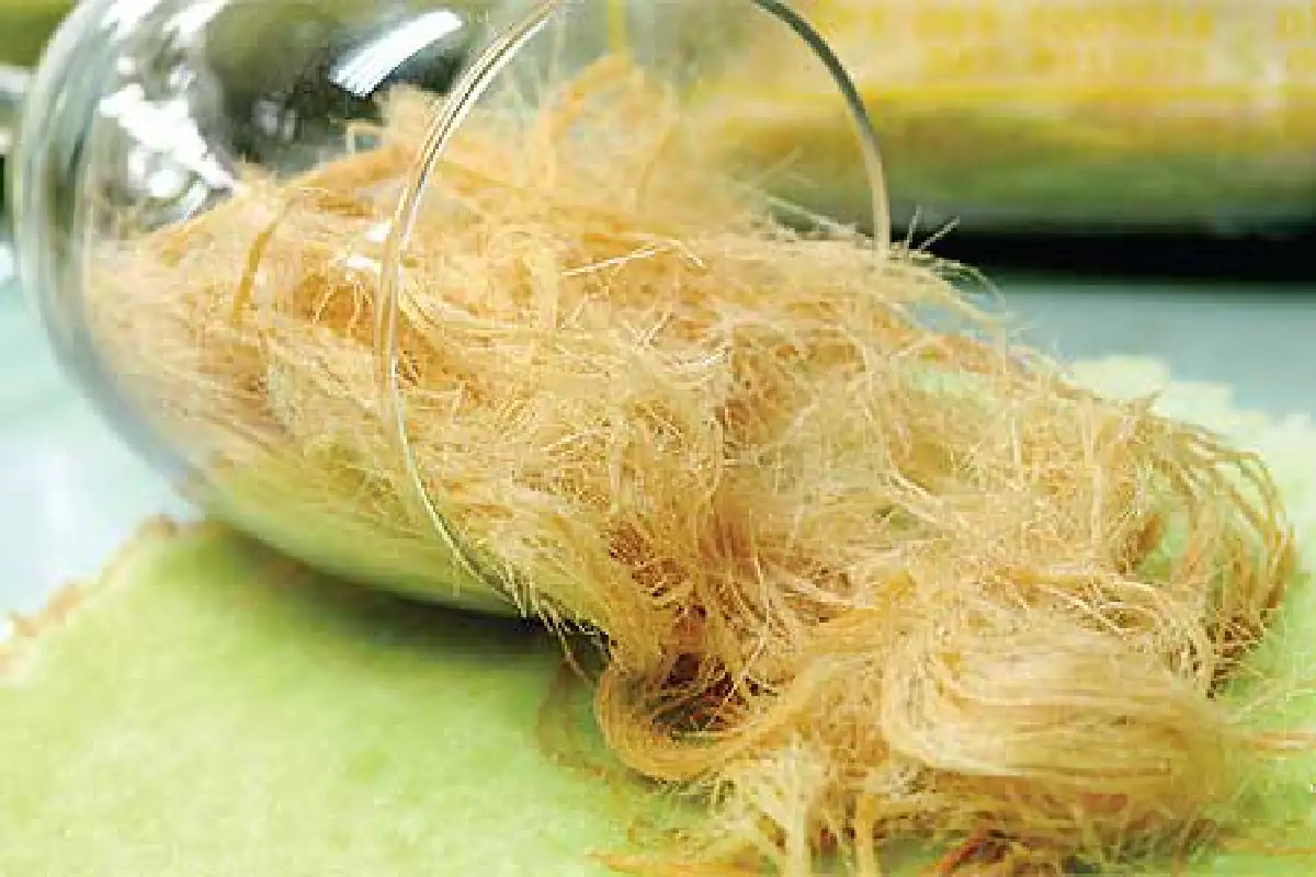 เส้นทางสายไหม มัดใจ