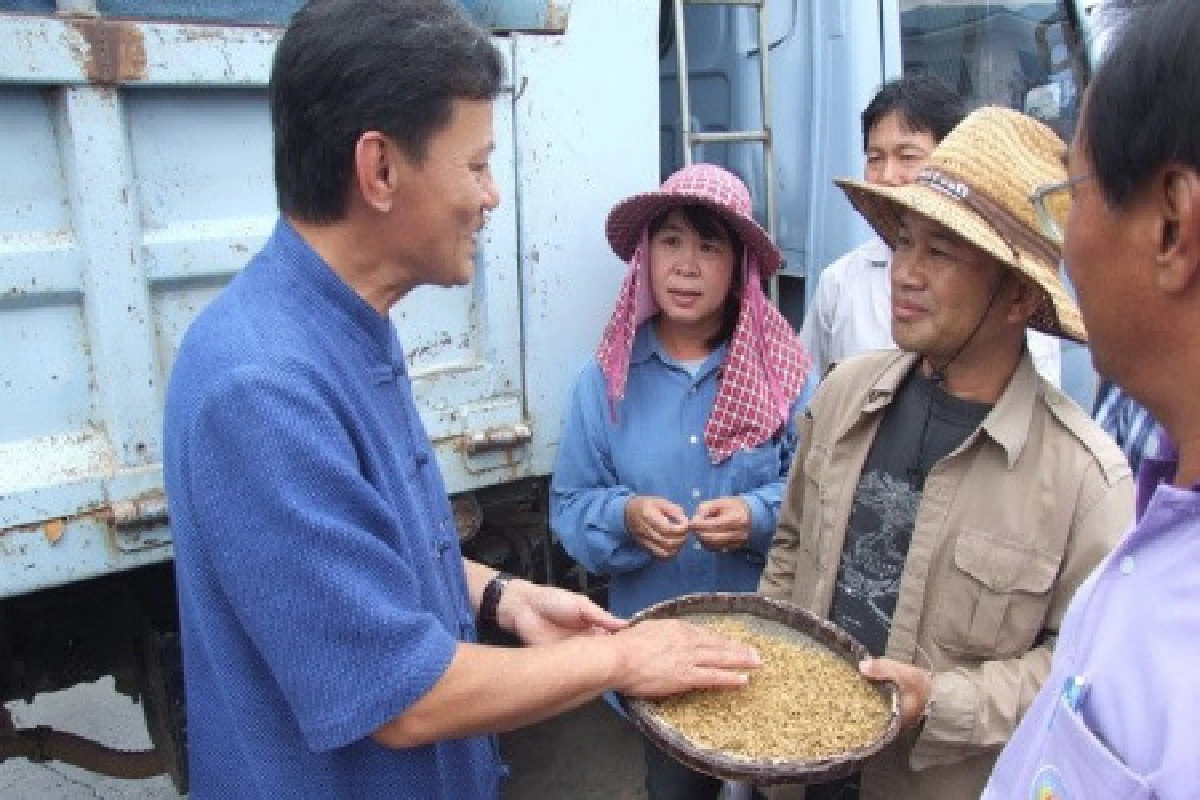 น้ำท่วมนาล่มจำนำข้าววันแรกกร่อย