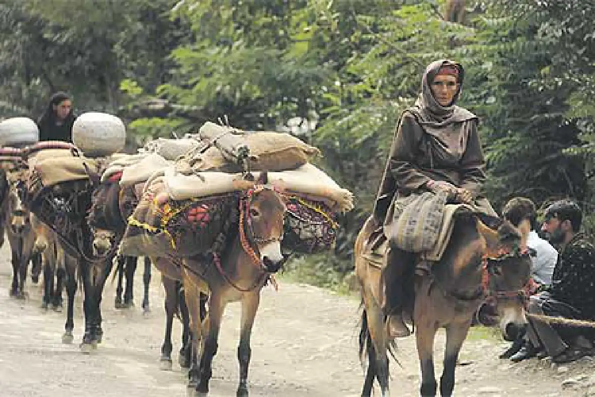 แคชเมียร์ดินแดนในฝัน