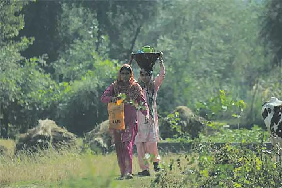 แคชเมียร์ดินแดนในฝัน