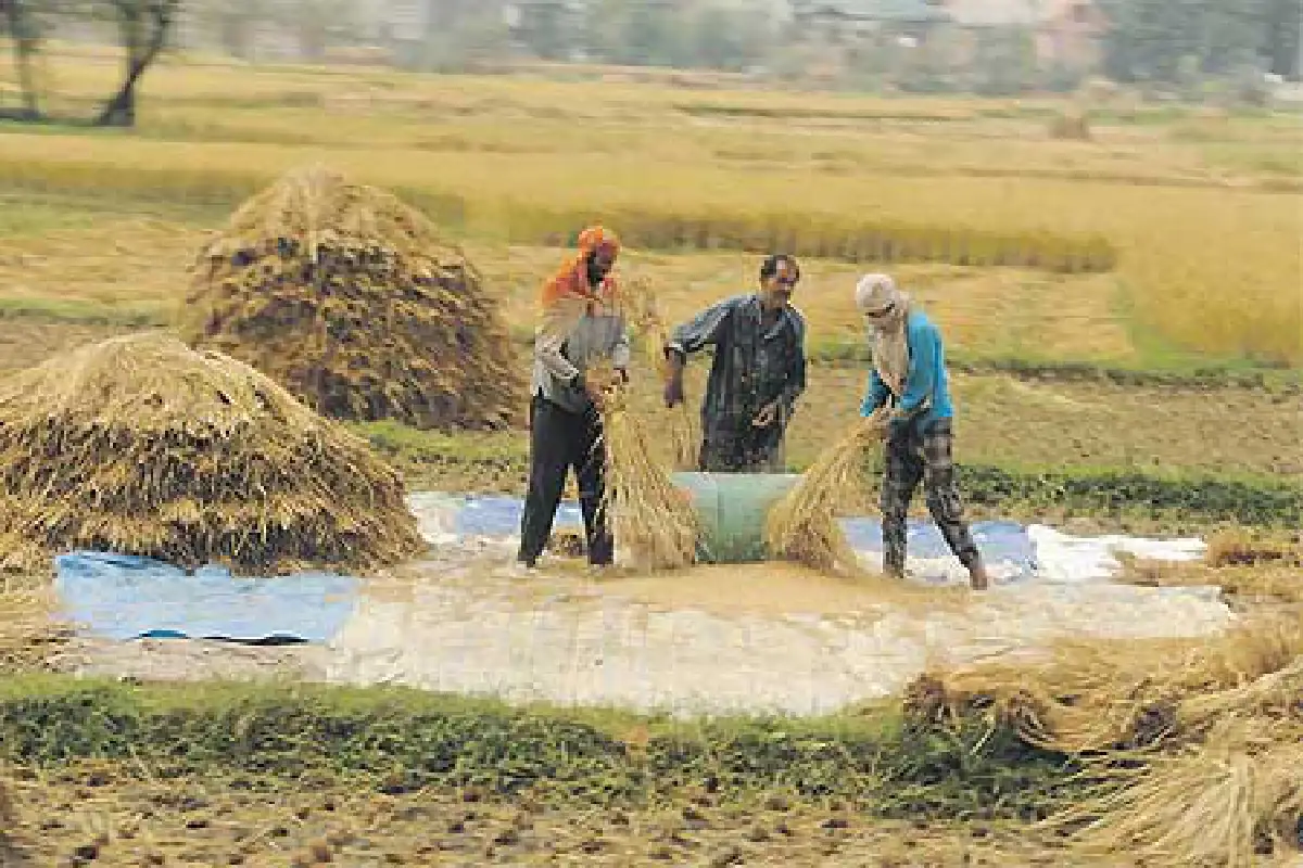 แคชเมียร์ดินแดนในฝัน