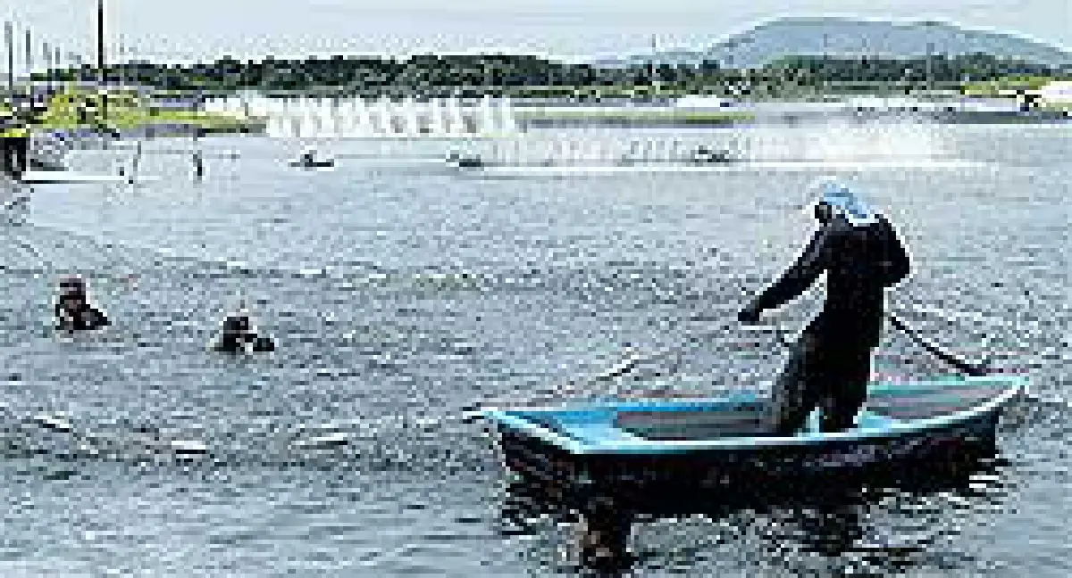 เกษตรพันธสัญญาโครงการนี้เพื่อกุ้งไทย