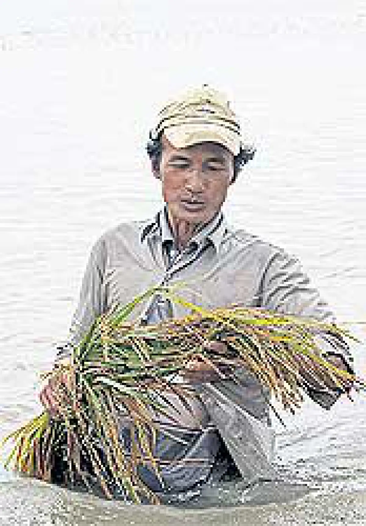 อู่ข้าวอู่น้ำเอเชียจมบาดาล หวั่นราคาอาหารพุ่ง