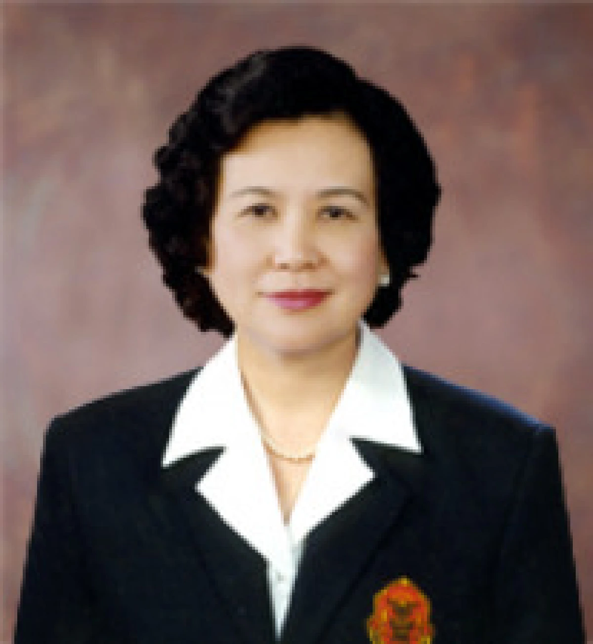 ผาณิตนั่งปธ.ผู้ตรวจการแผ่นดินคนใหม่