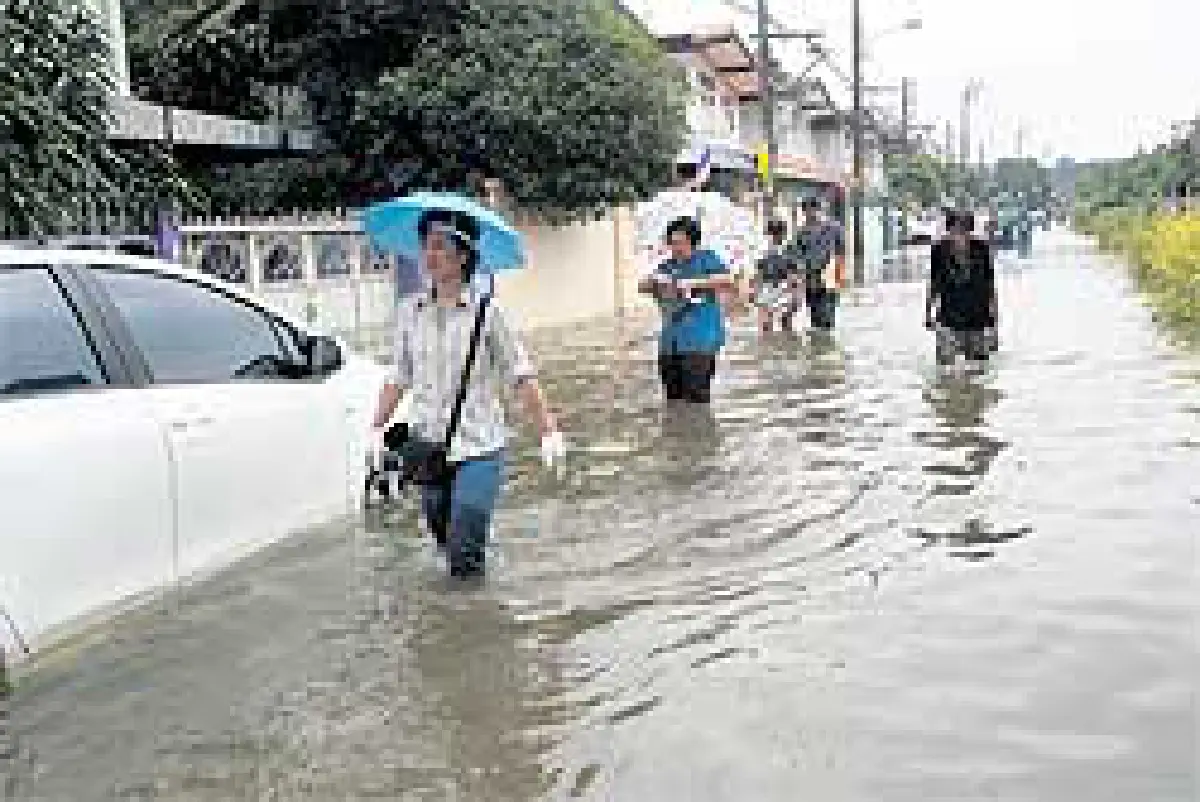 ปูยึดโมเดลลัดโพธิ์ ขุด6คลองเร่งระบายลงท่าจีน