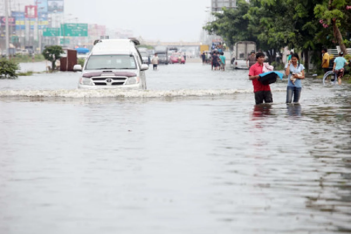 บางบัวทองยังอ่วม-หน้าบิ๊กคิงส์น้ำสูง70ซม.