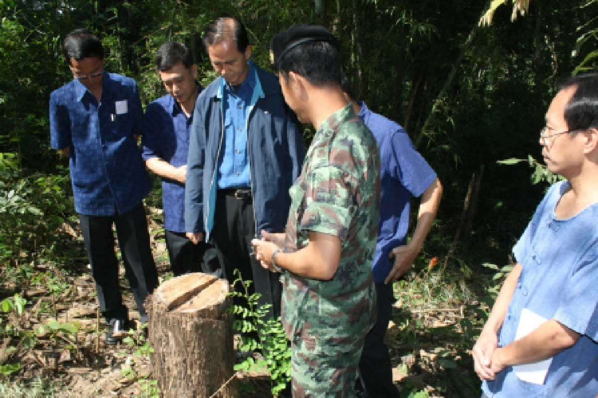 พบนายทุนลอบตัดไม้สักเกลื่อนป่า
