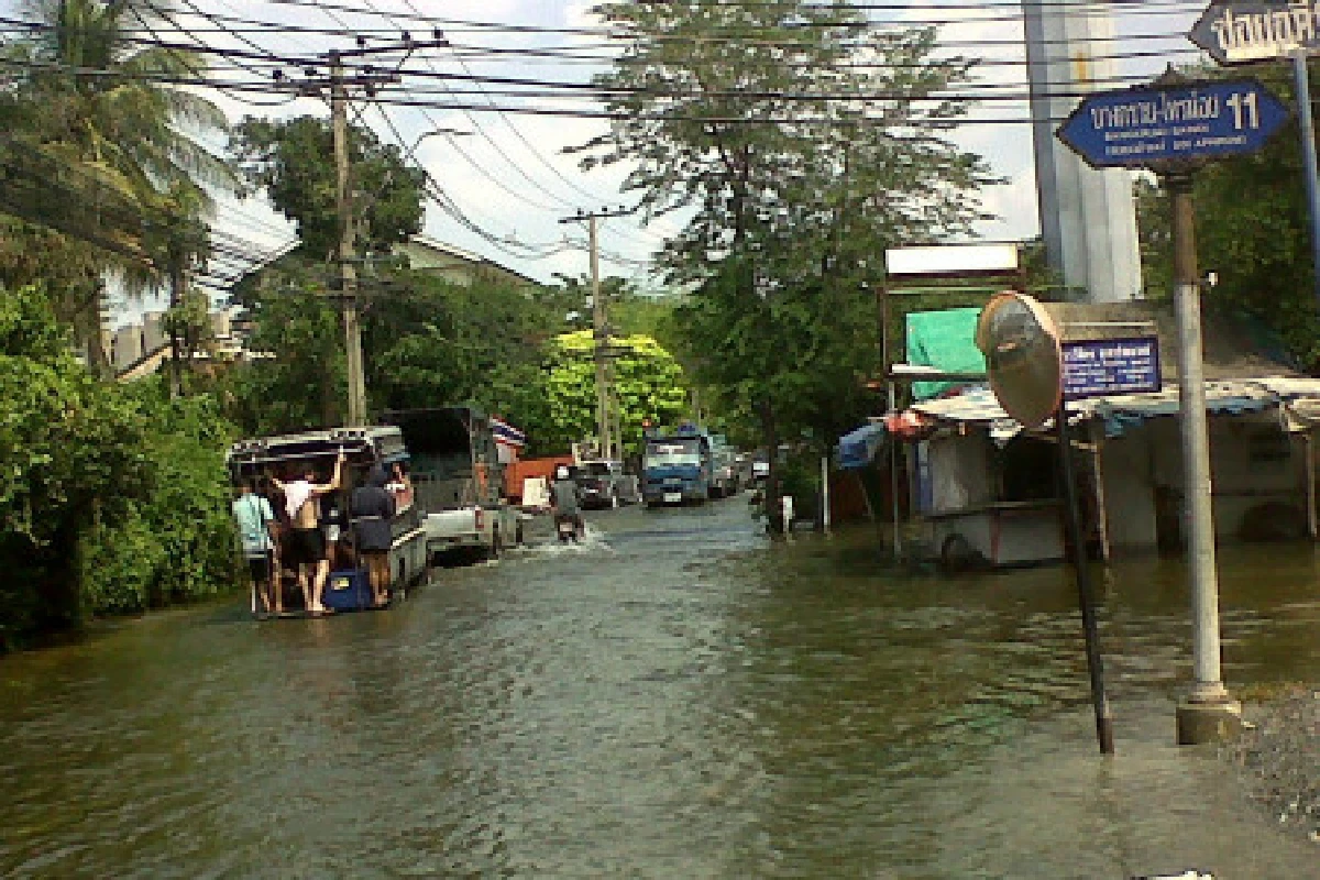 จับจระเข้ยาว2เมตรลอยคอกลางถนนบางบัวทอง