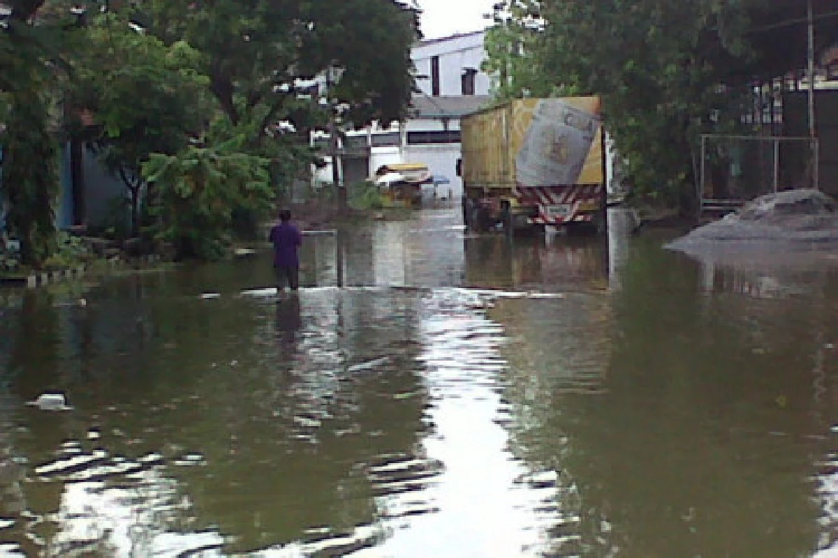 จับจระเข้ยาว2เมตรลอยคอกลางถนนบางบัวทอง