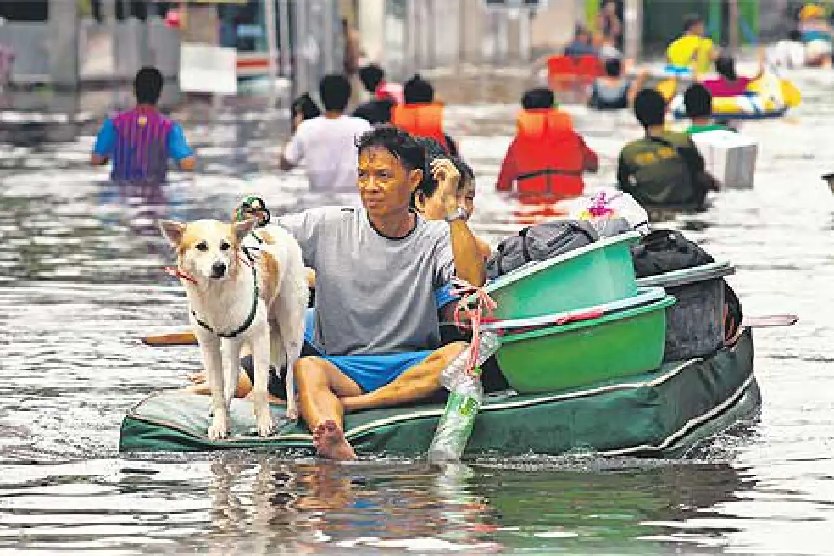 บทเรียนจากชาวดัตช์ระบบป้องกันน้ำท่วมแบบยั่งยืน