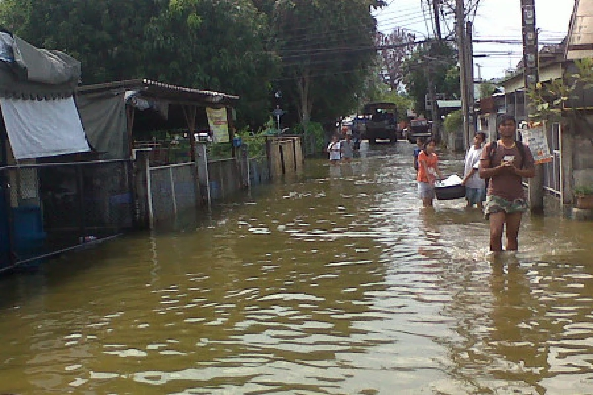 จับจระเข้ยาว2เมตรลอยคอกลางถนนบางบัวทอง