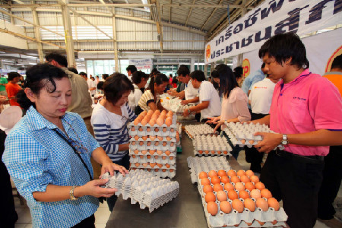 คนแห่ต่อคิวซื้อไข่ไก่ตลาดอ.ต.ก. คนแห่ต่อคิวซื้อไข่ไก่ตลาดอ.ต.ก.
