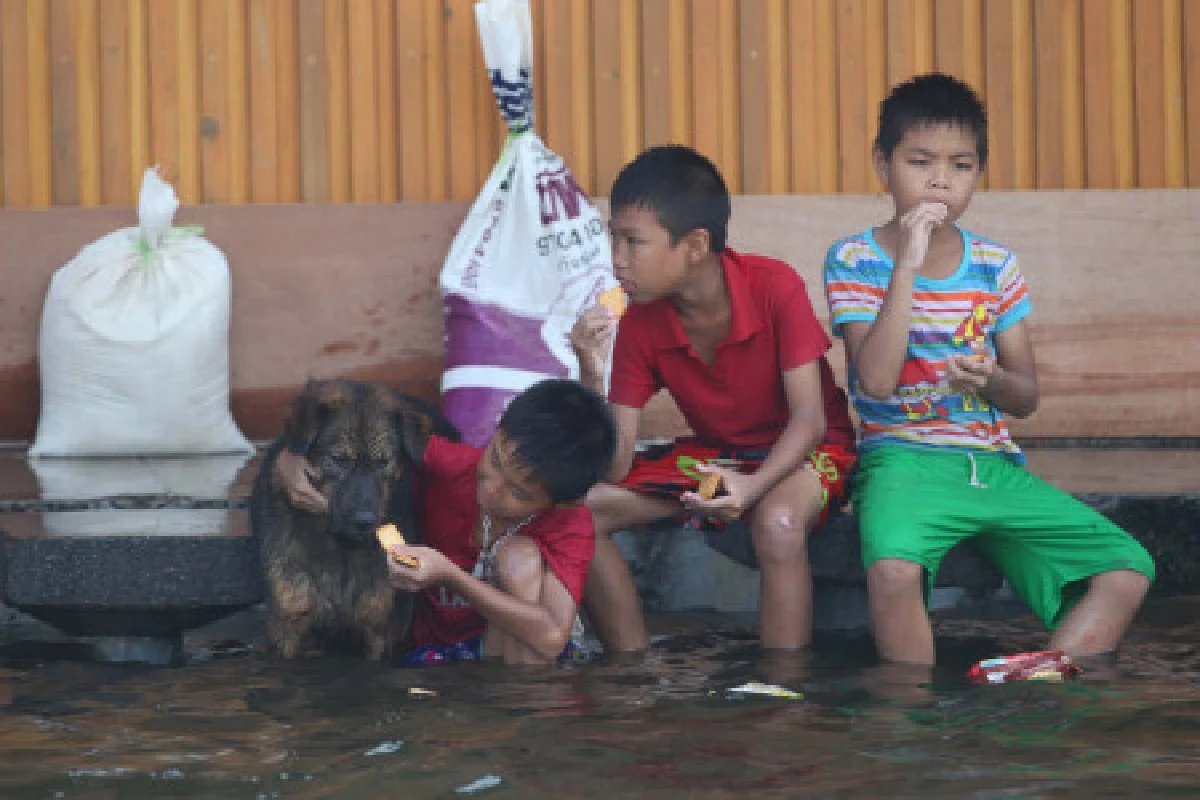 แพทย์เตือนให้ระวังสำลักน้ำเน่า