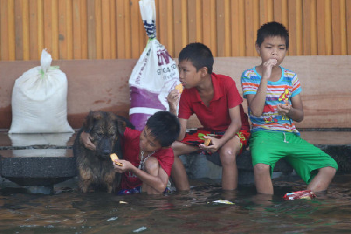 แพทย์เตือนให้ระวังสำลักน้ำเน่า แพทย์เตือนให้ระวังสำลักน้ำเน่า