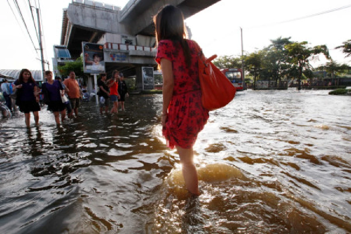 จากโคตรวิกฤตถึงโคตรถุงยักษ์