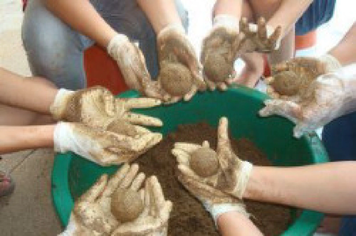 อีเอ็มบอล"ลูกบอลวิเศษ"หรือตัวการทำน้ำเน่า?