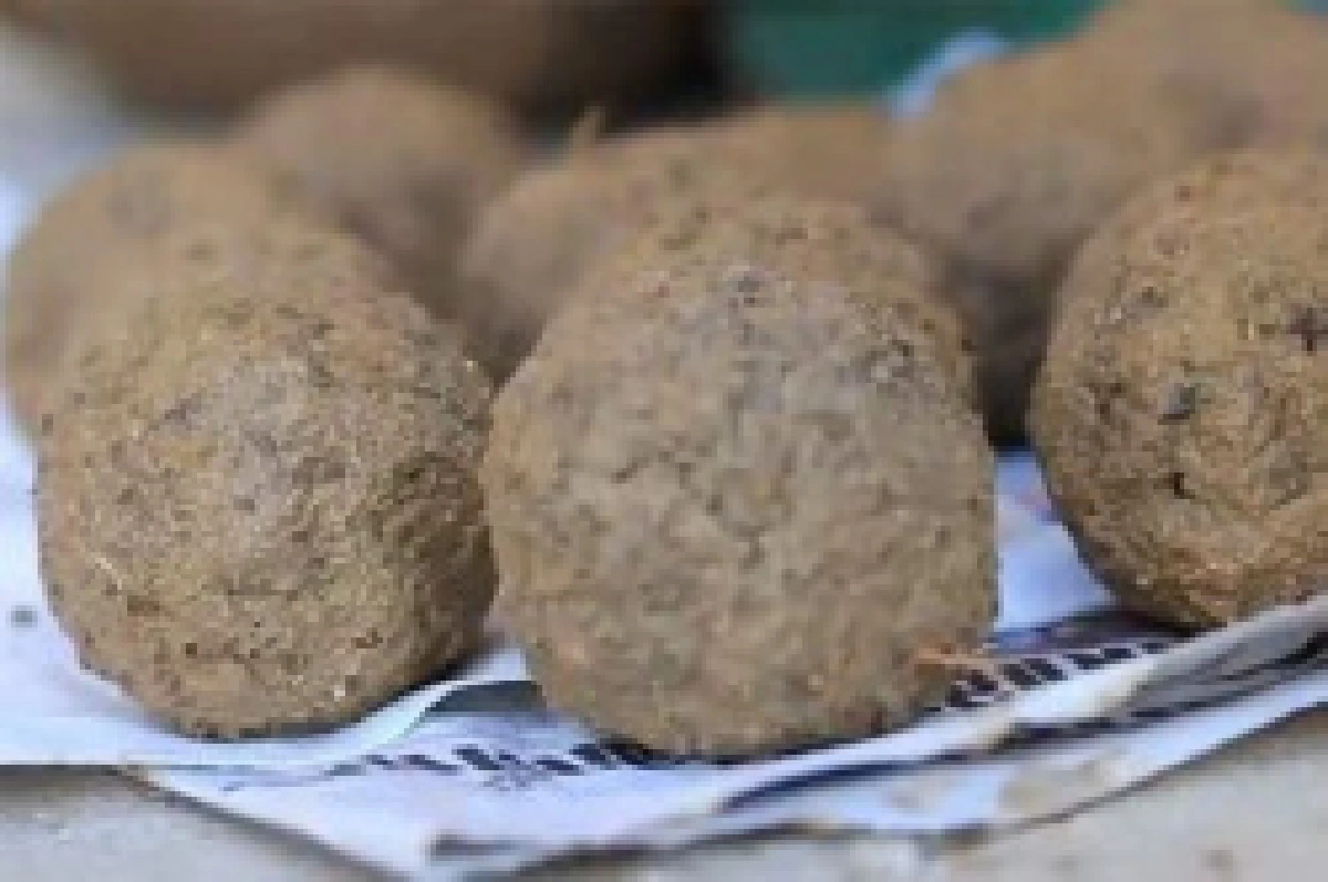 อีเอ็มบอล"ลูกบอลวิเศษ"หรือตัวการทำน้ำเน่า?