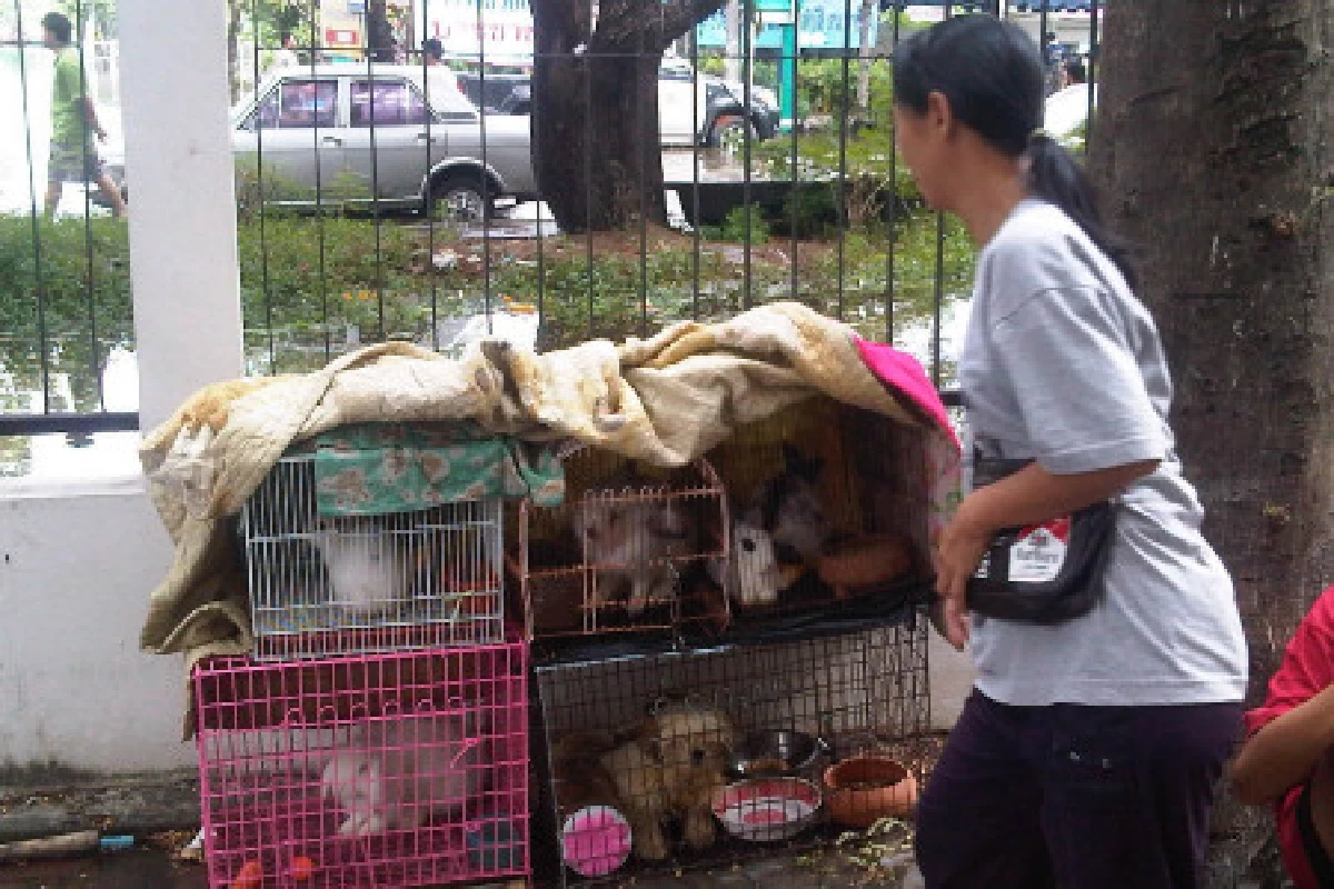น้ำจ่อทิศเหนือถ.พระราม2