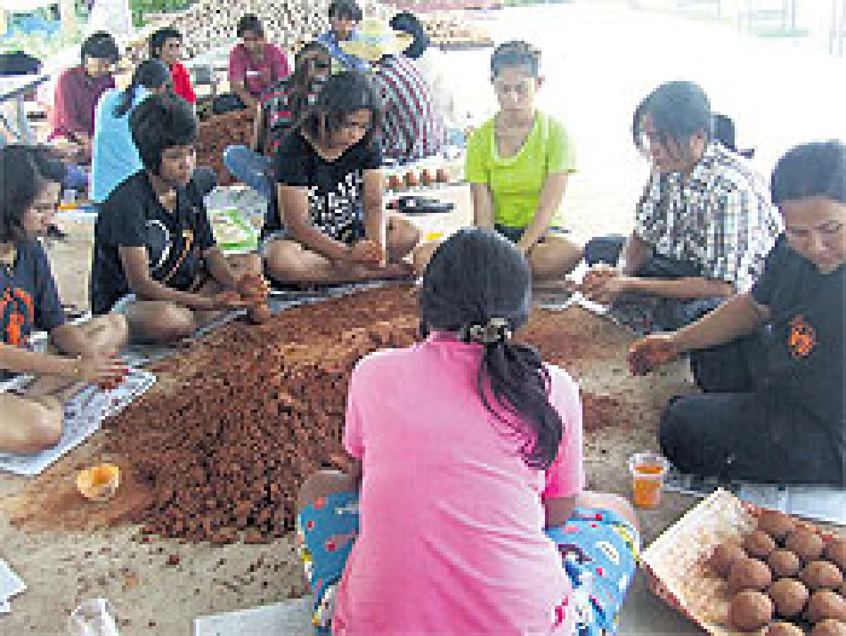 วิวาทะเรื่องอีเอ็มบอล