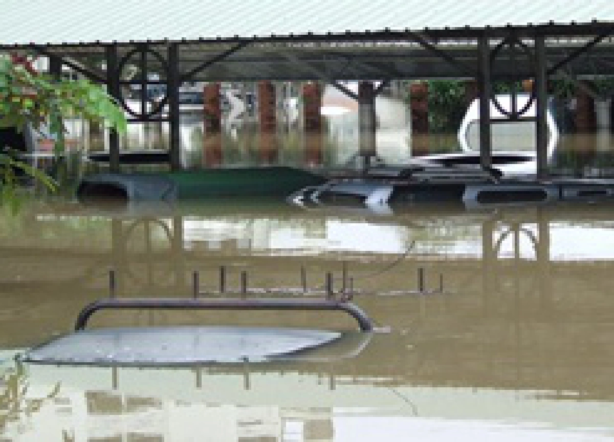 Flood-related vocabulary (updated)