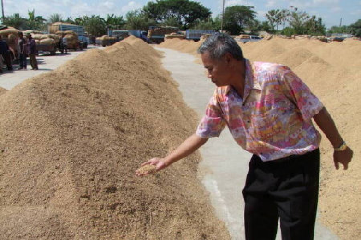 ชาวนาบุรีรัมย์วอนรัฐยืดเวลาจำนำข้าว ชาวนาบุรีรัมย์วอนรัฐยืดเวลาจำนำข้าว