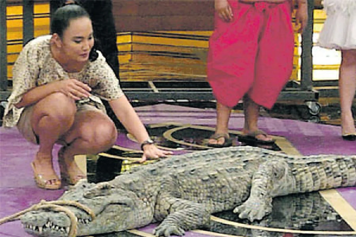 เหตุเพราะโลภแท้ๆ