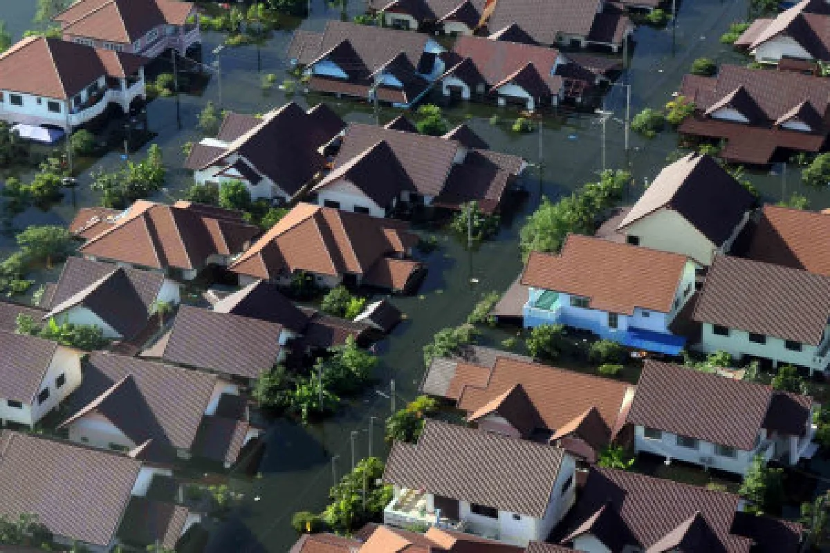 ดูแลบ้านหลังน้ำท่วม (ตอนที่ 4)