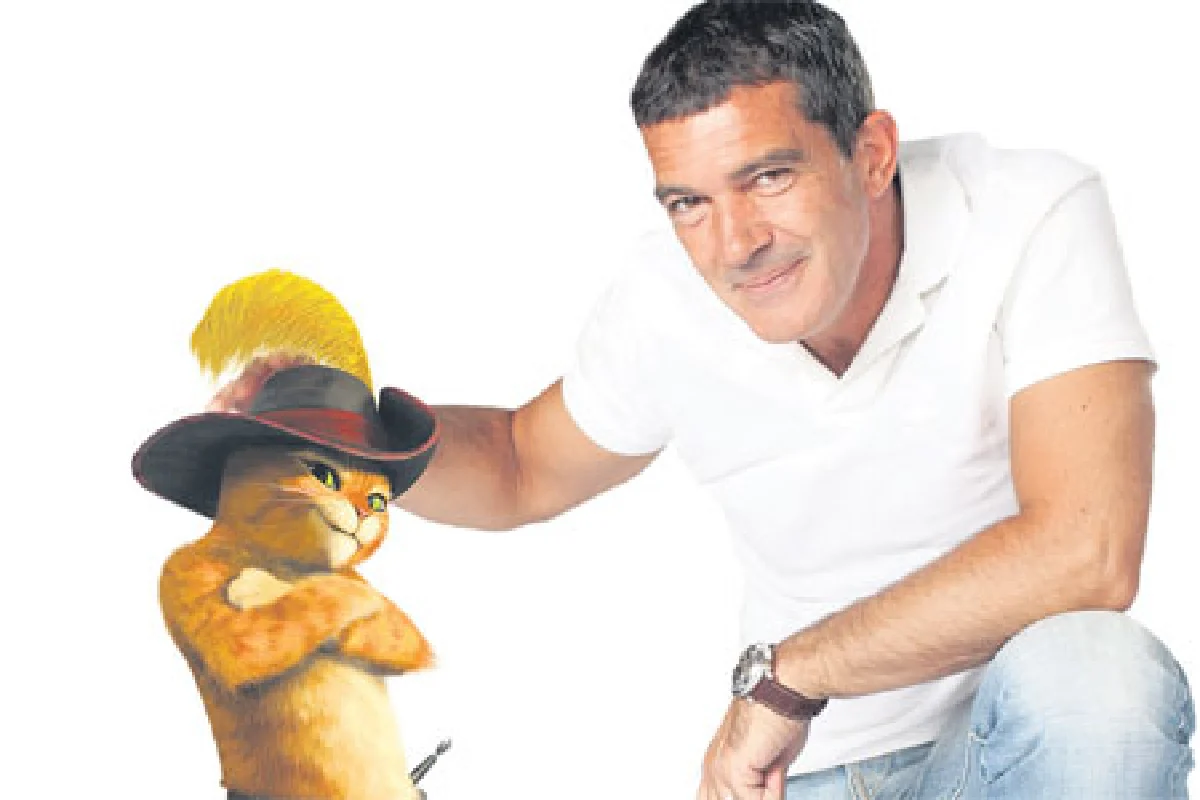 (แมว) หนุ่มเจ้าเสน่ห์ แอนโตนีโอ แบนเดอราส