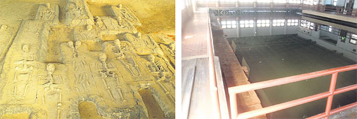 History loses out to nature