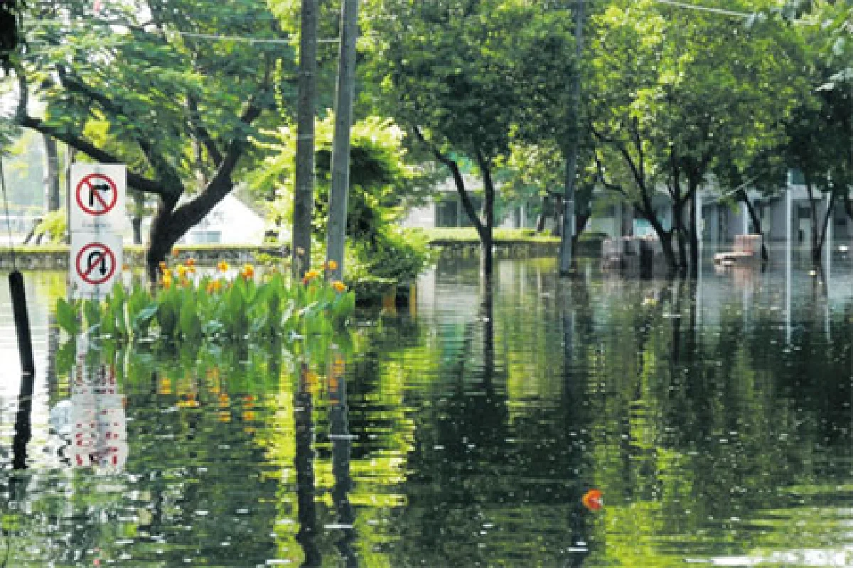 ต้นไม้กับการเรียนรู้ สู้ภัยน้ำท่วม